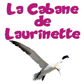 CABANE DE LAURINETTE La Teste de Buch
